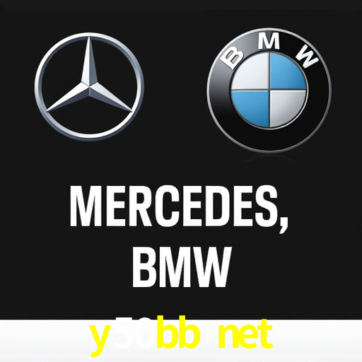 Experiência VIP y50bb net